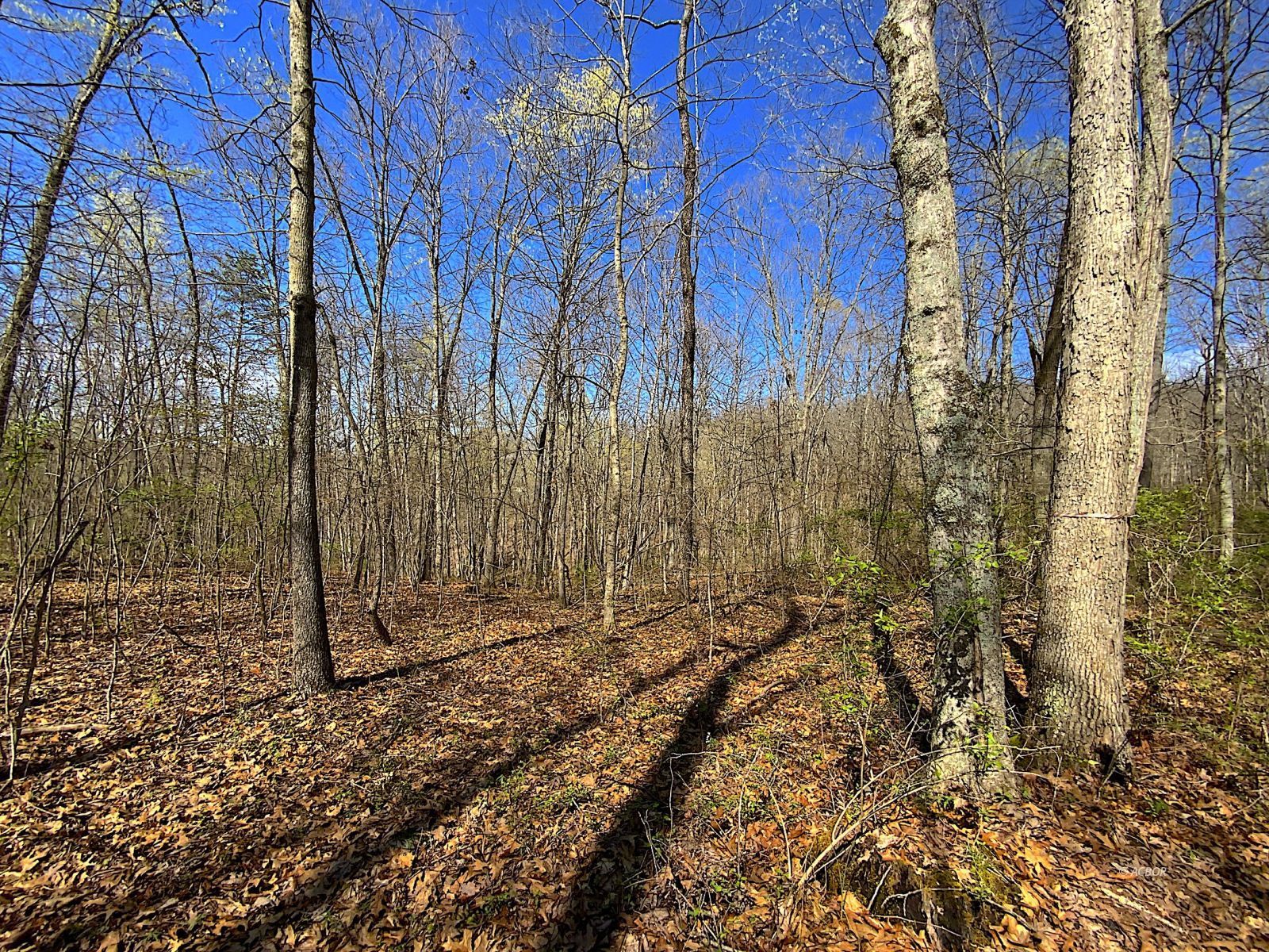 9675 State Route 554 Property Photo 20