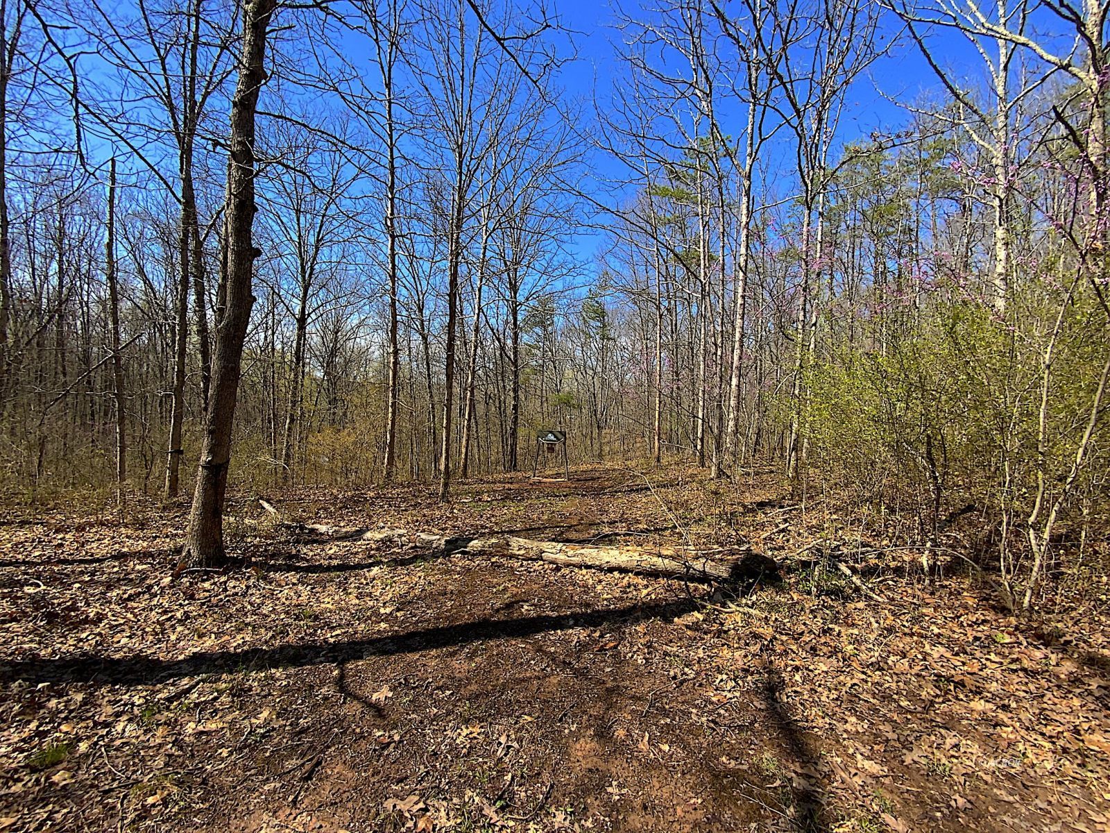 9675 State Route 554 Property Photo 21