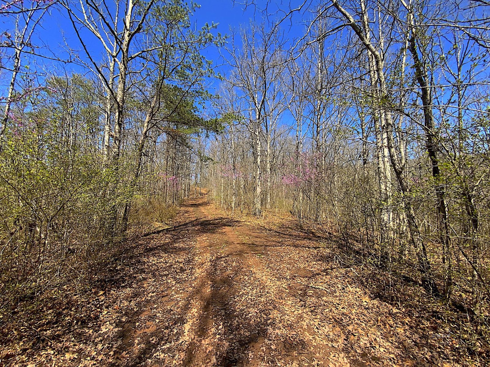 9675 State Route 554 Property Photo 22