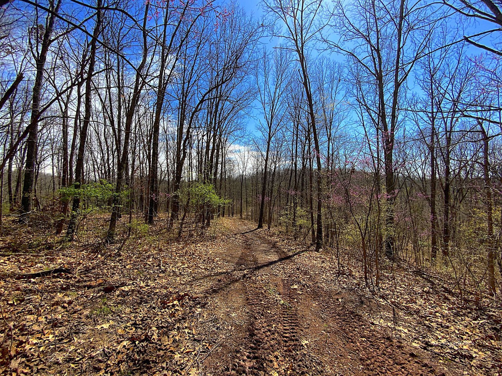 9675 State Route 554 Property Photo 23