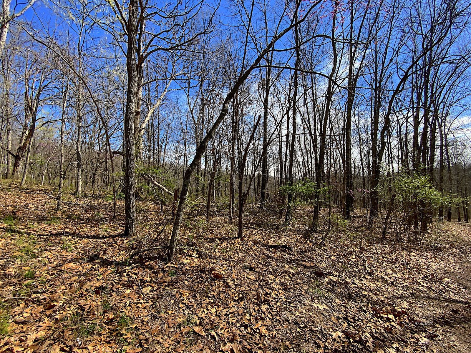 9675 State Route 554 Property Photo 24