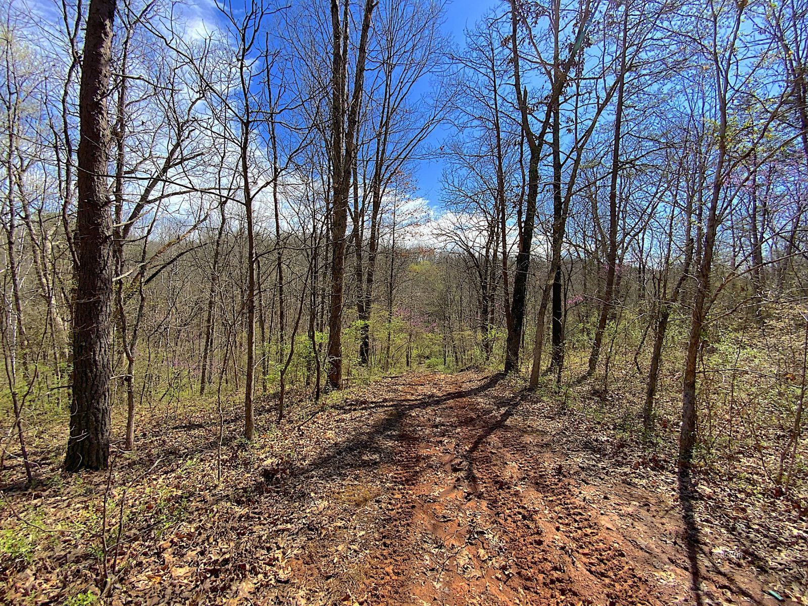 9675 State Route 554 Property Photo 25
