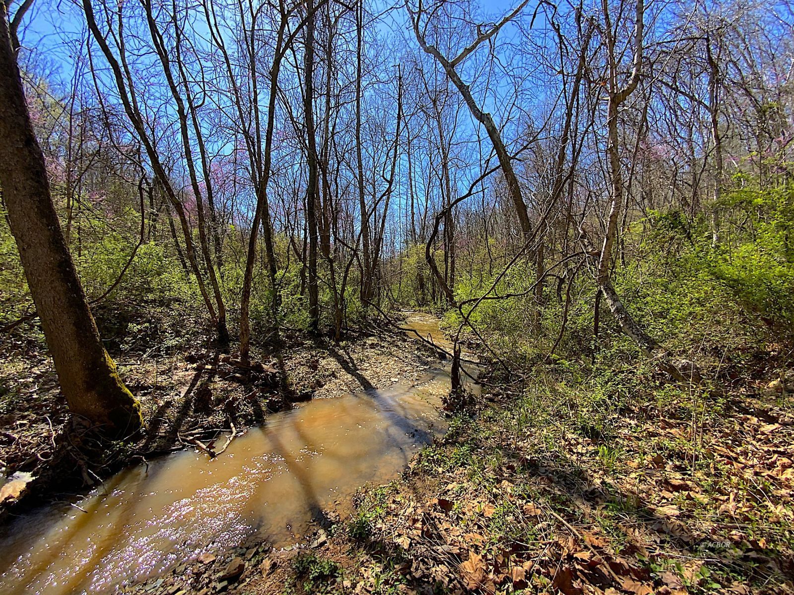 9675 State Route 554 Property Photo 26