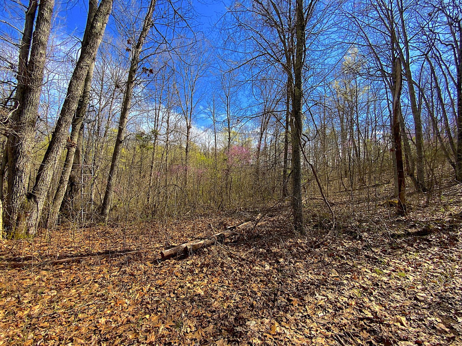 9675 State Route 554 Property Photo 27