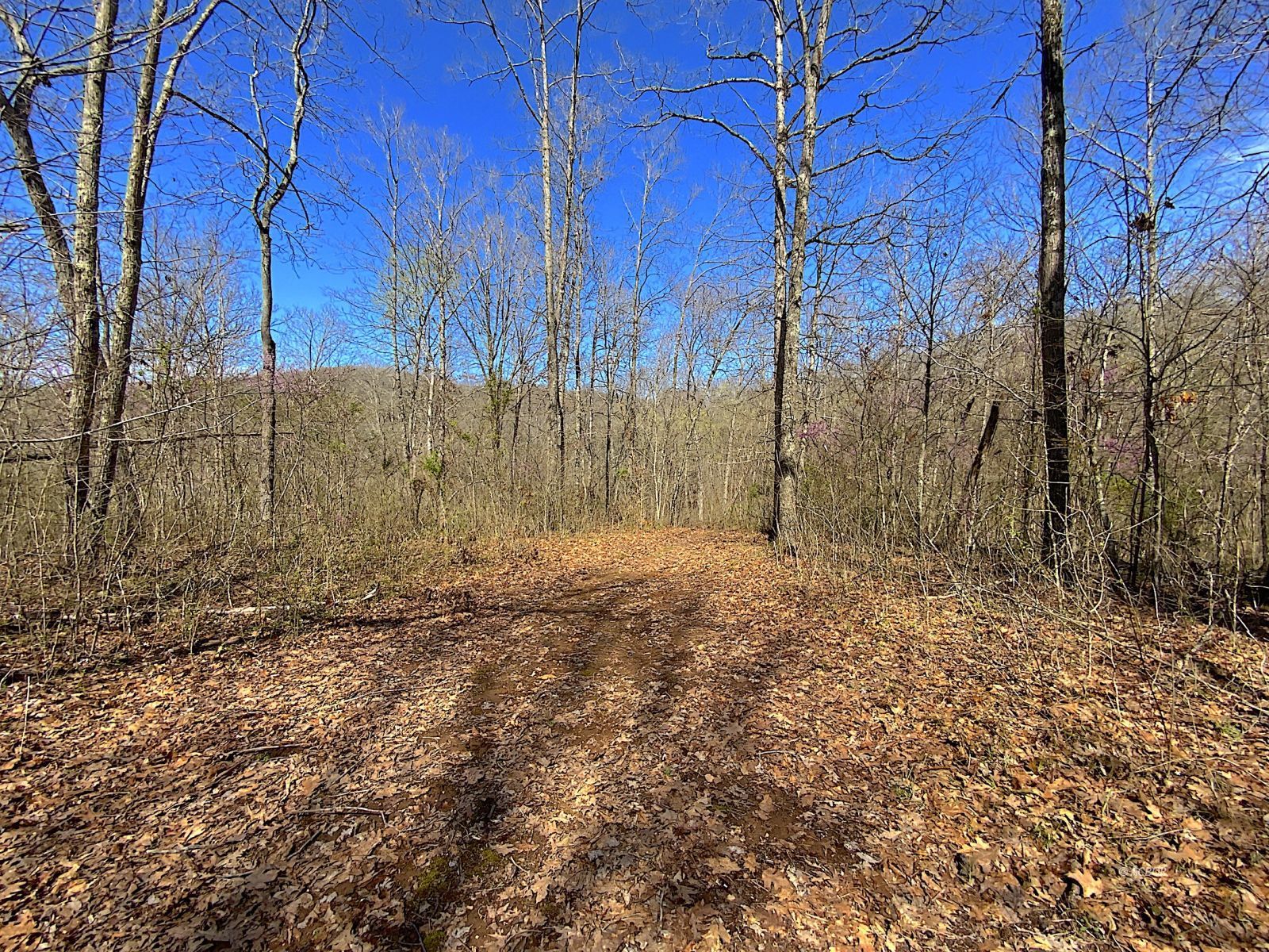 9675 State Route 554 Property Photo 28