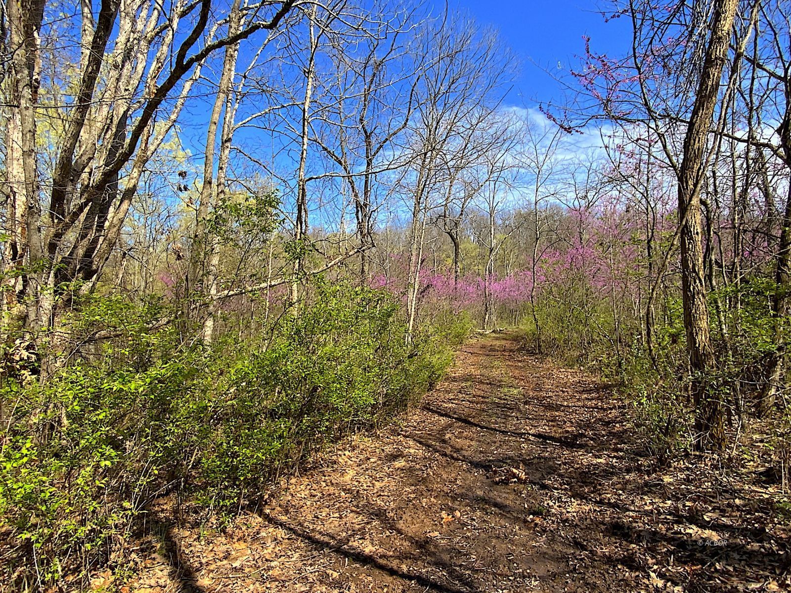 9675 State Route 554 Property Photo 30