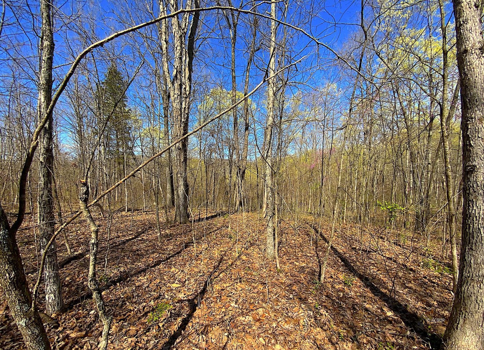 9675 State Route 554 Property Photo 31