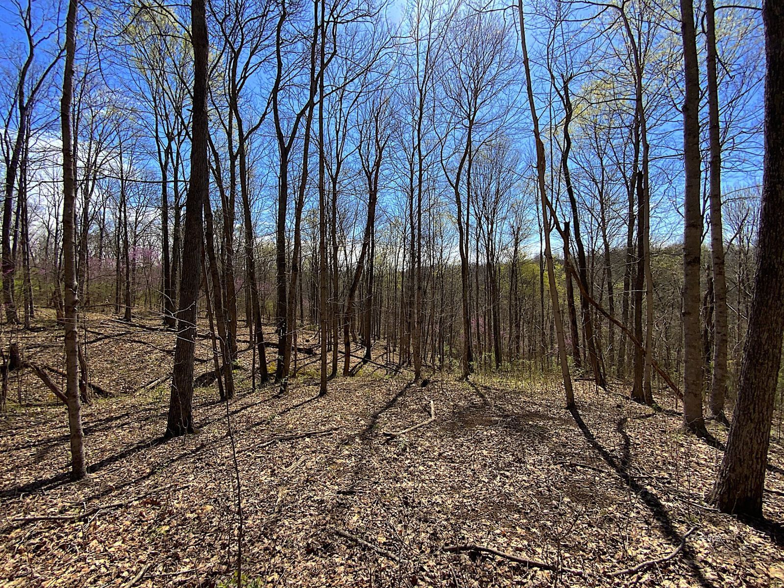 9675 State Route 554 Property Photo 32