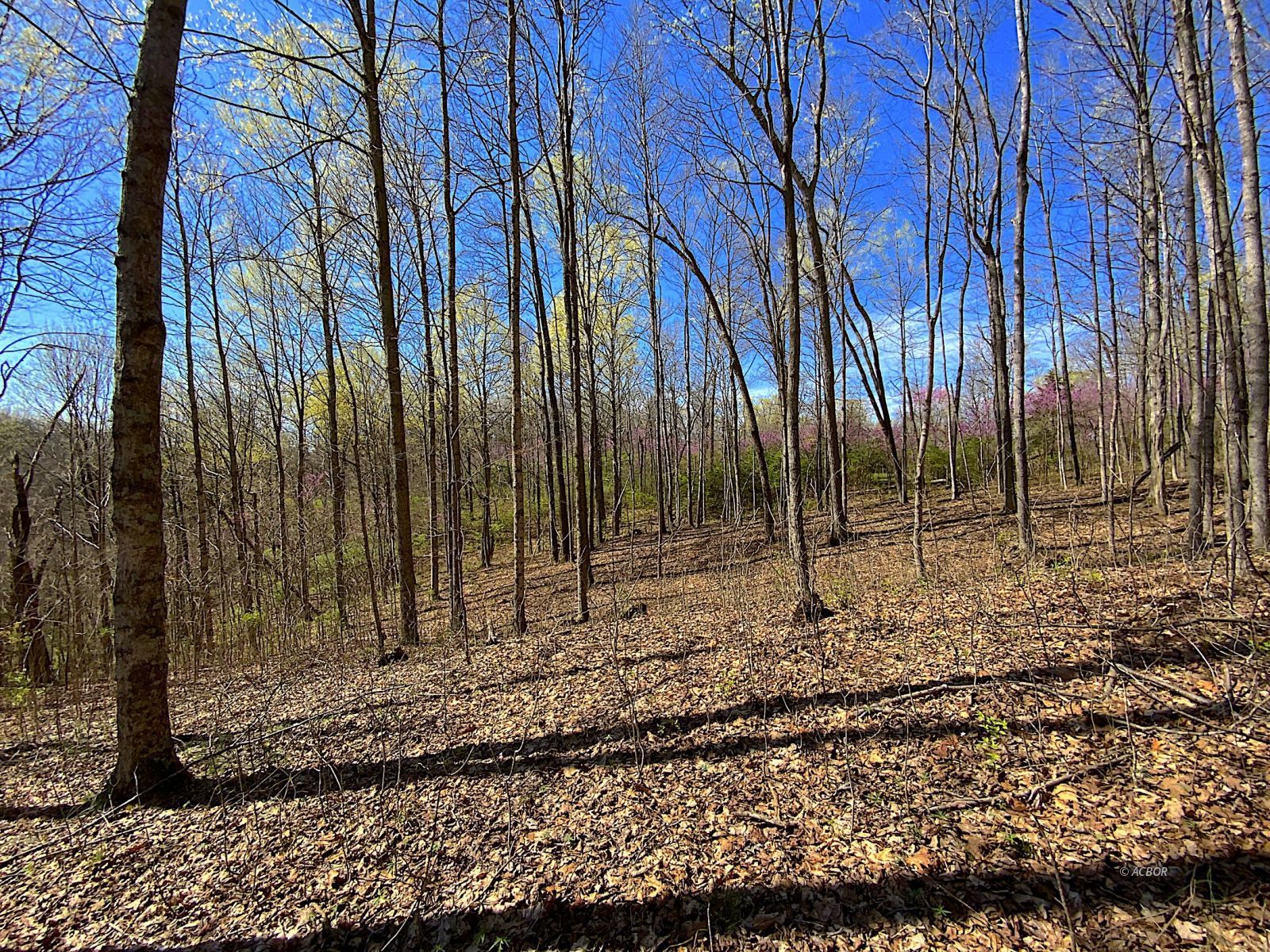 9675 State Route 554 Property Photo 33