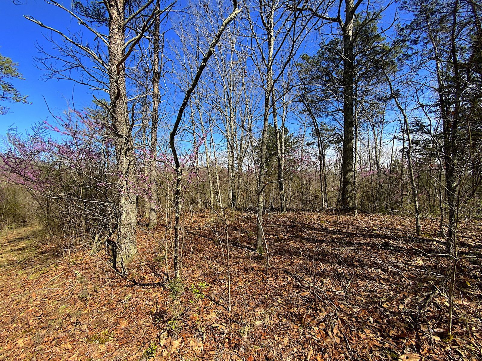 9675 State Route 554 Property Photo 34