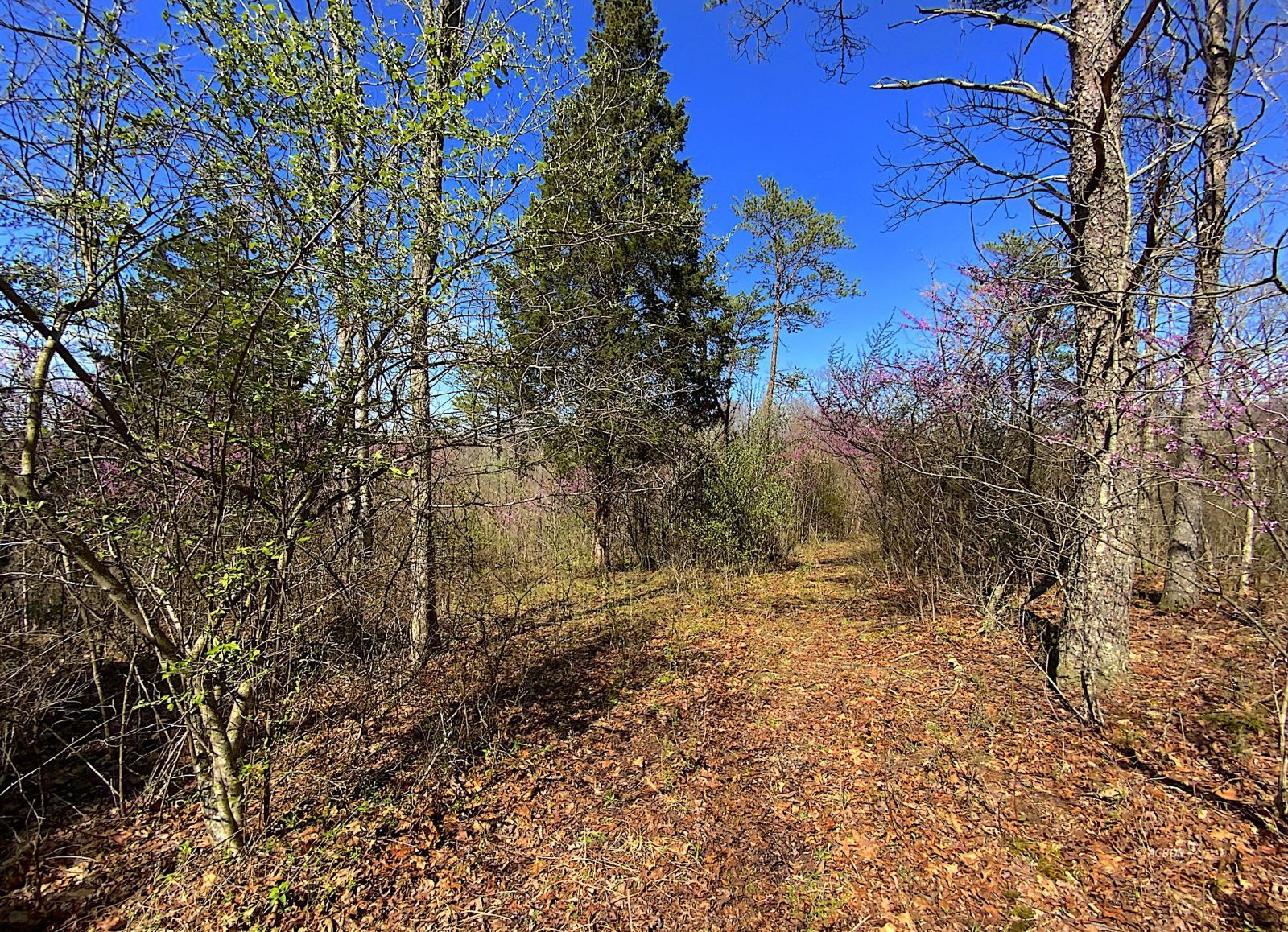 9675 State Route 554 Property Photo 35
