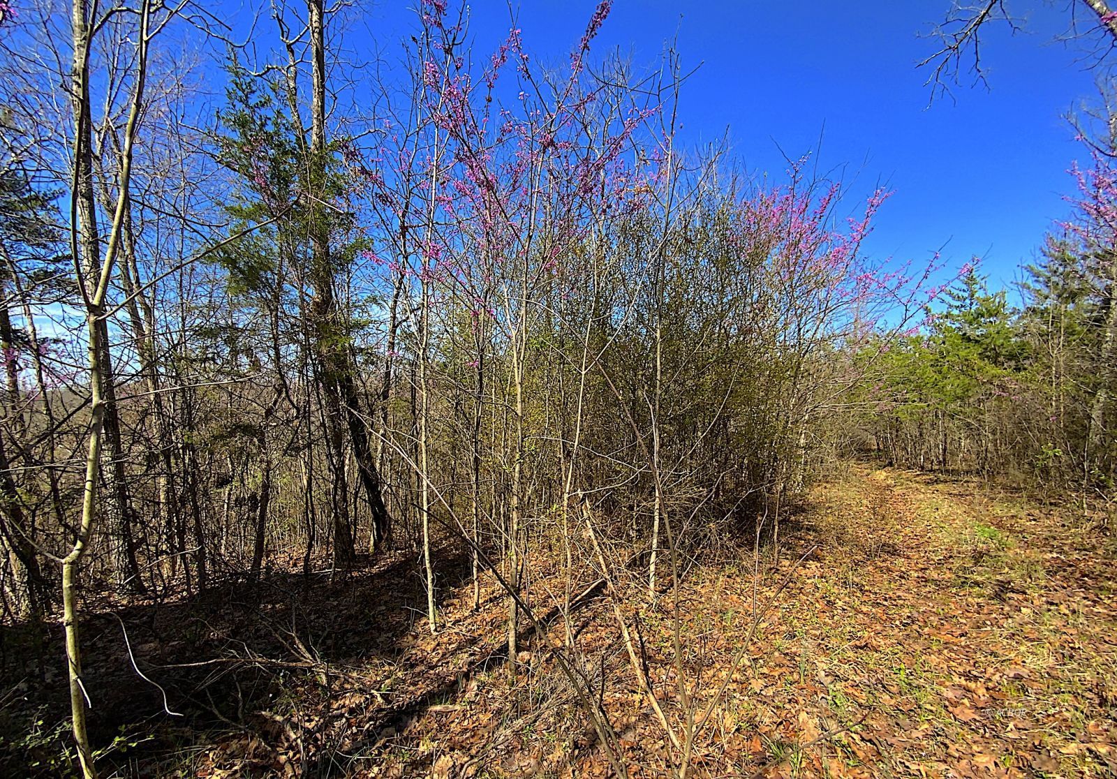 9675 State Route 554 Property Photo 36