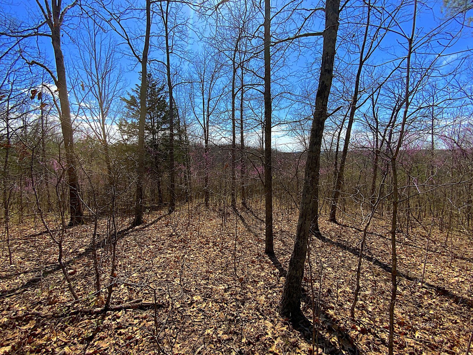 9675 State Route 554 Property Photo 37