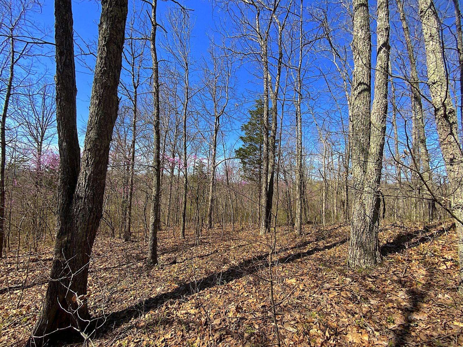 9675 State Route 554 Property Photo 38