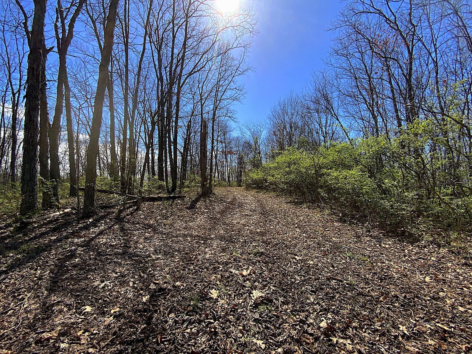 9675 State Route 554 Property Photo 39