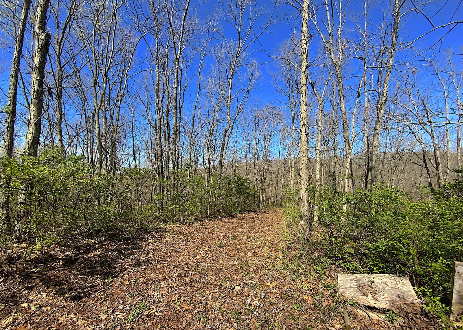 9675 State Route 554 Property Photo 40