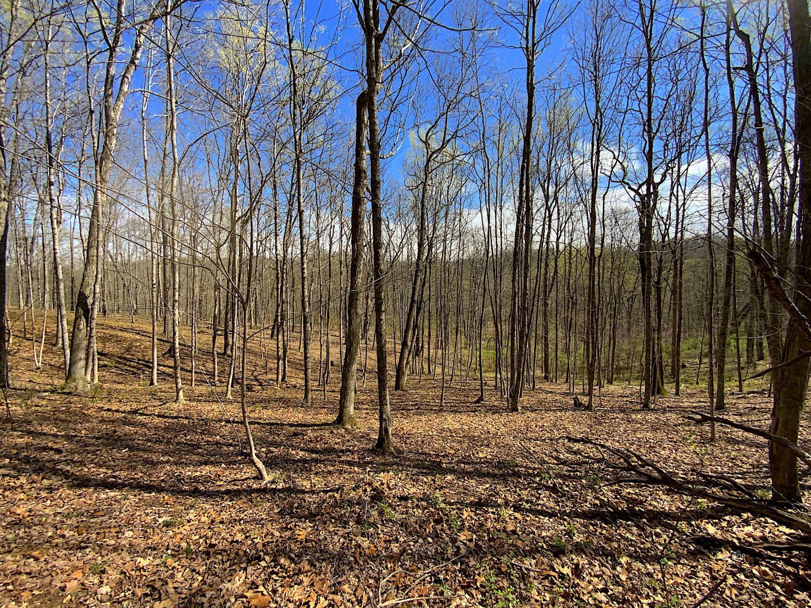 9675 State Route 554 Property Photo 41