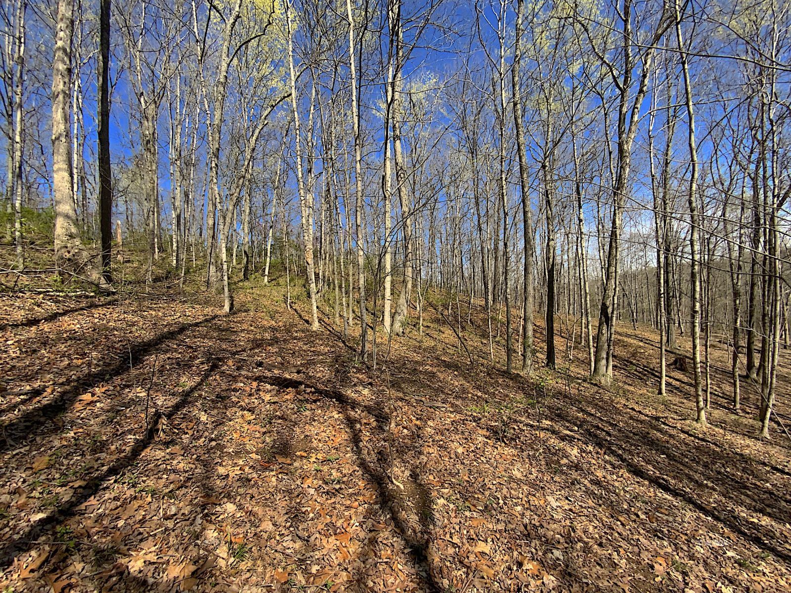 9675 State Route 554 Property Photo 42