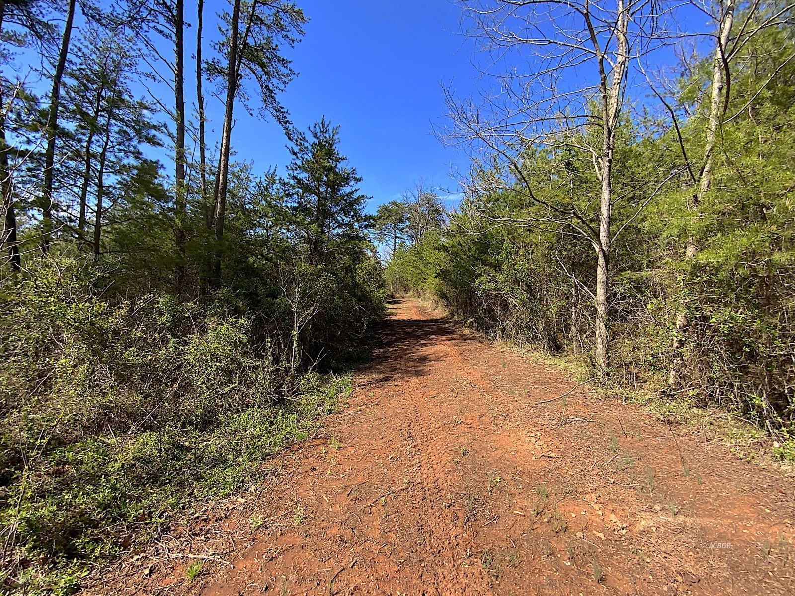 9675 State Route 554 Property Photo 44
