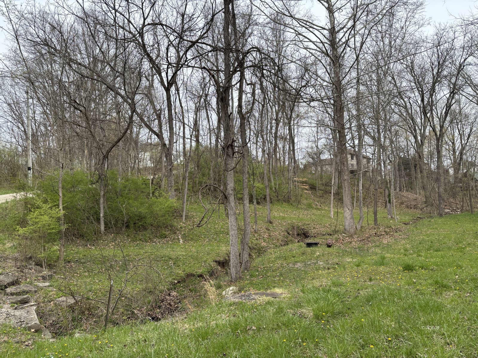 14 Dove Property Photo 1