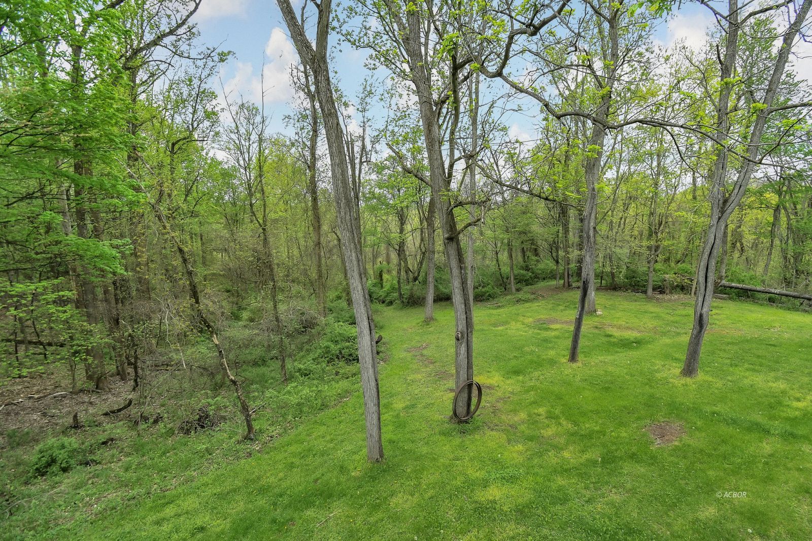 7255 Angel Ridge Rd Property Photo 60