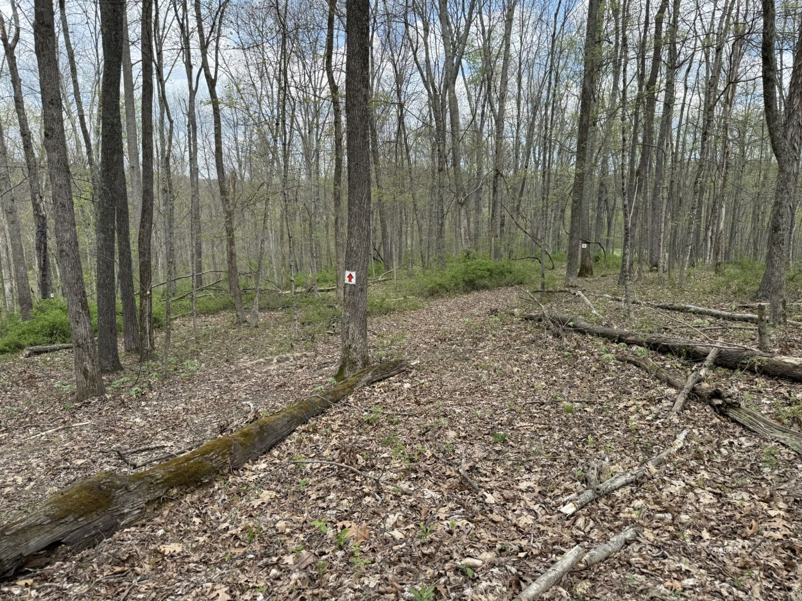 31440 Deerfield Dr Property Photo 57