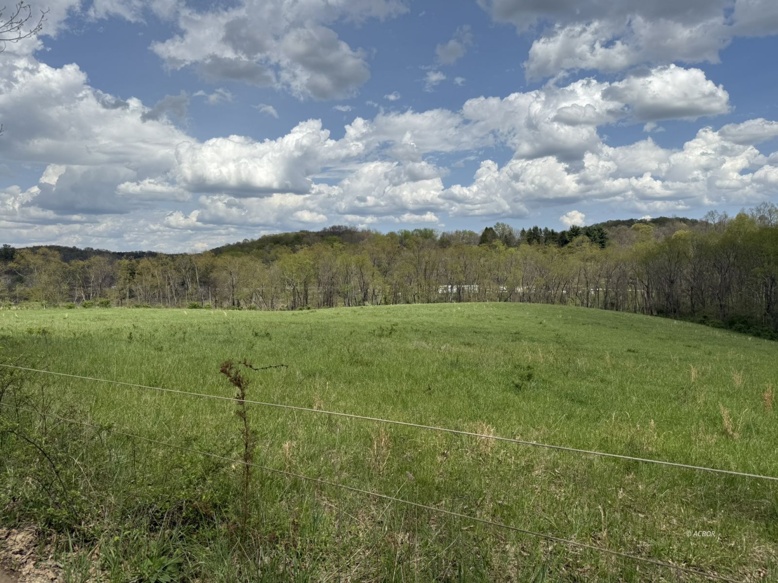 31440 Deerfield Dr Property Photo 58
