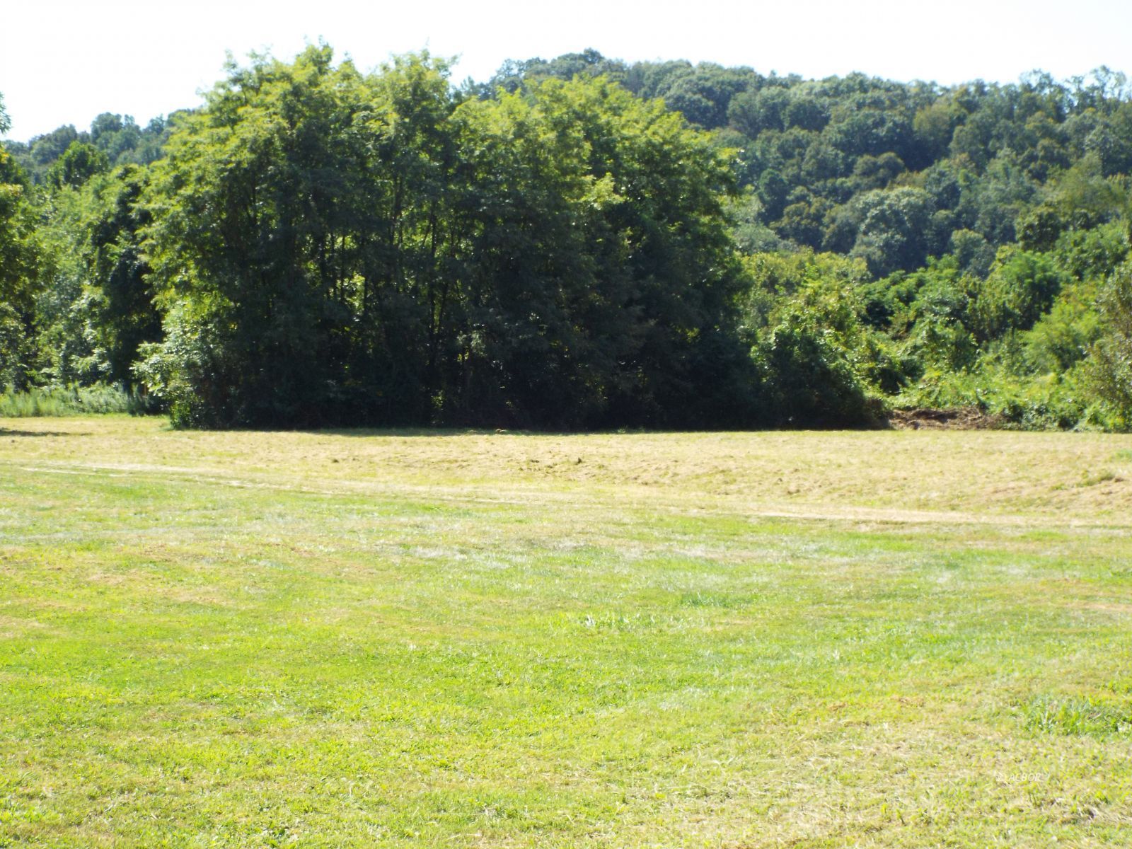 17687 Laurel Run Rd Property Photo 1