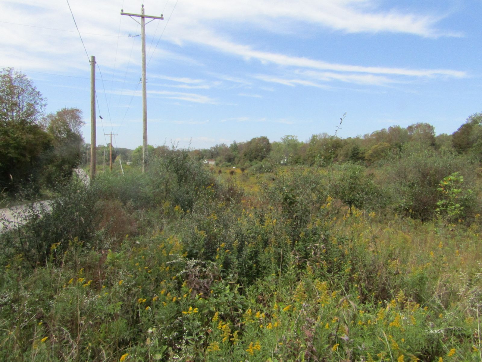 E Copeland Rd Property Photo 2