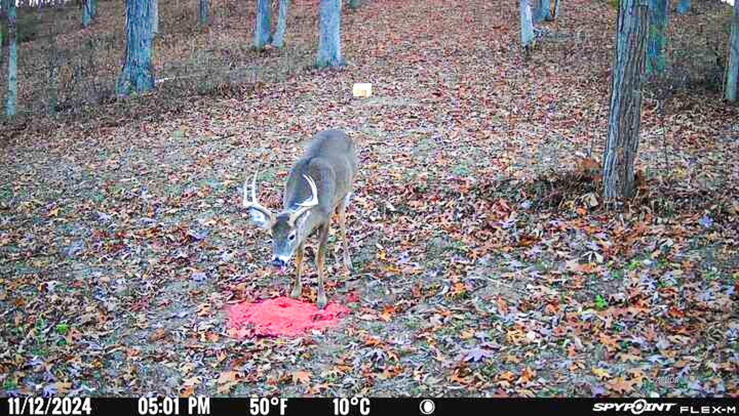 Chase Rd Property Photo 3