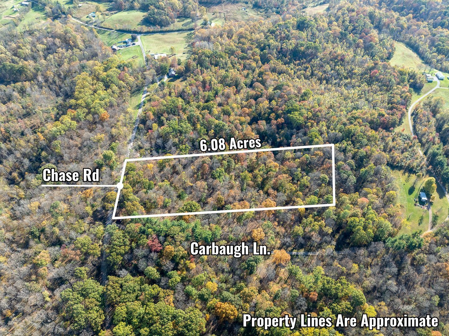 Chase Rd Property Photo 4