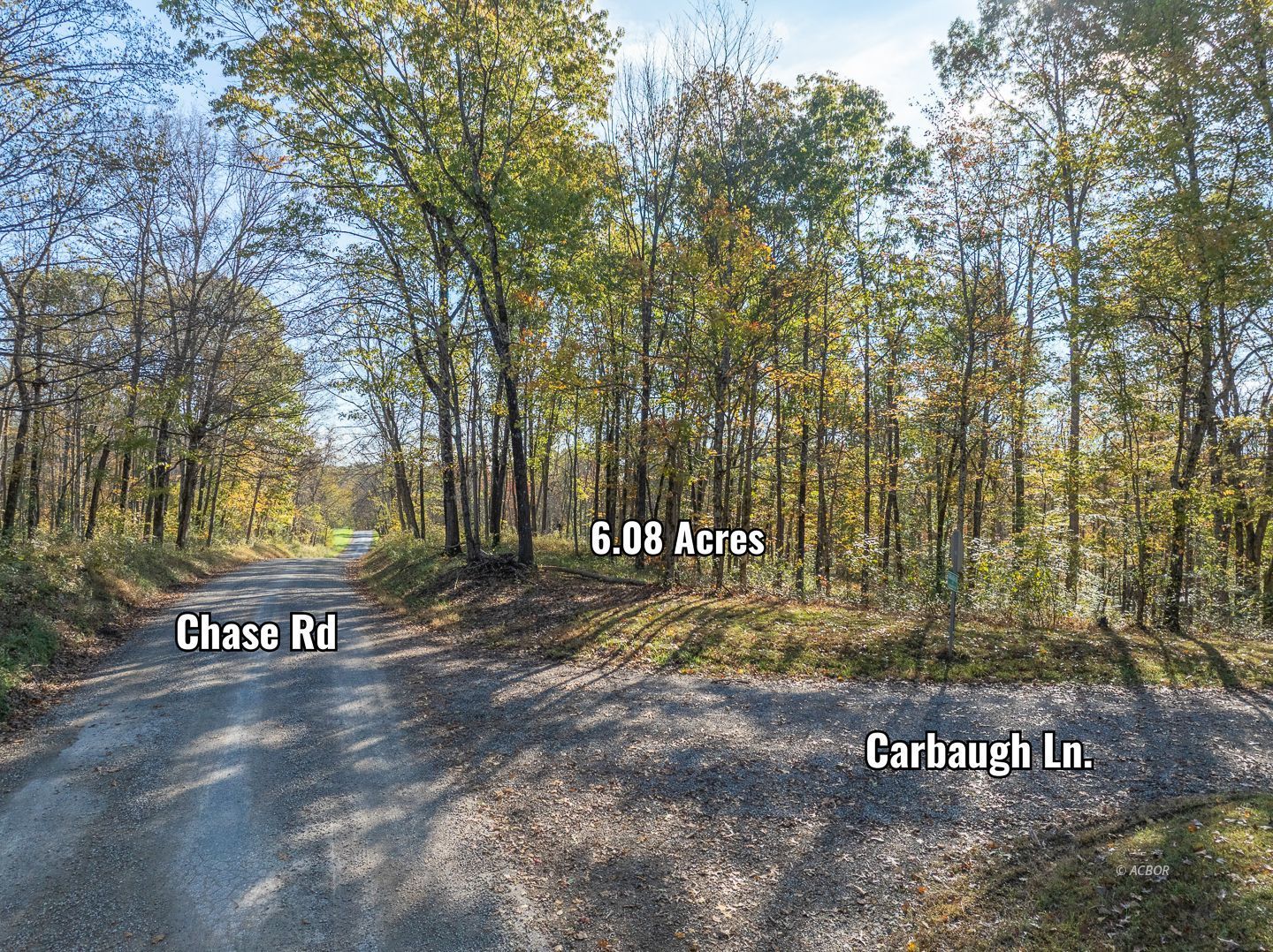 Chase Rd Property Photo 6