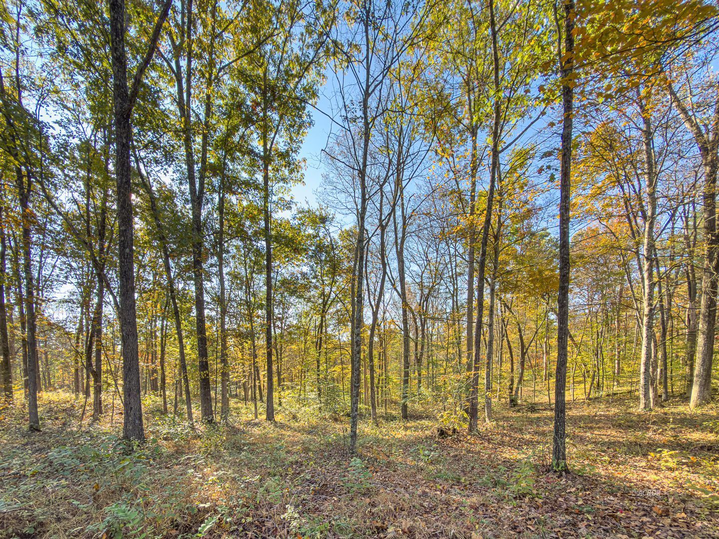 Chase Rd Property Photo 13