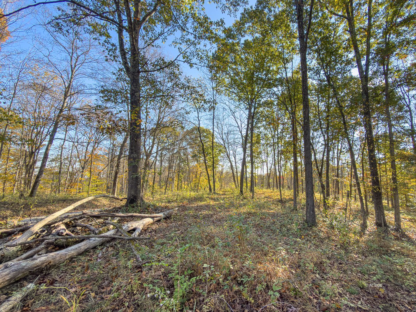 Chase Rd Property Photo 14