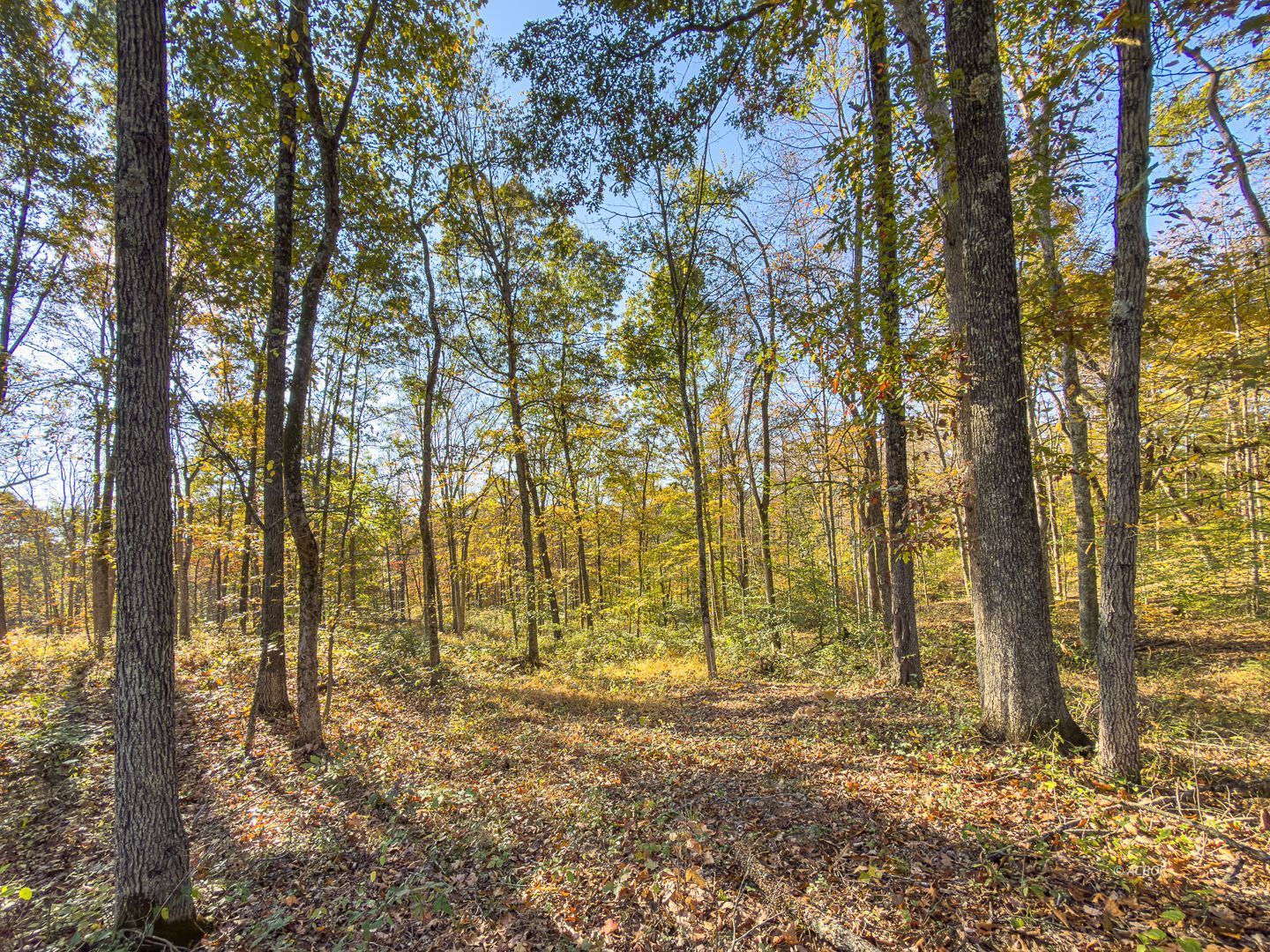 Chase Rd Property Photo 15