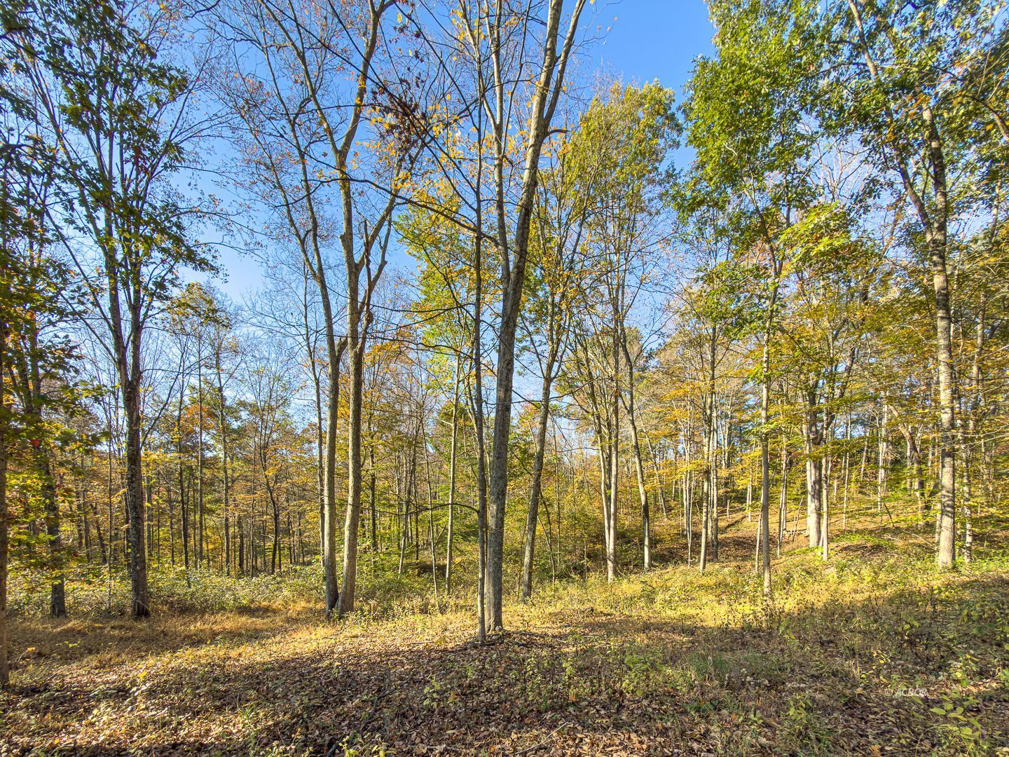 Chase Rd Property Photo 19