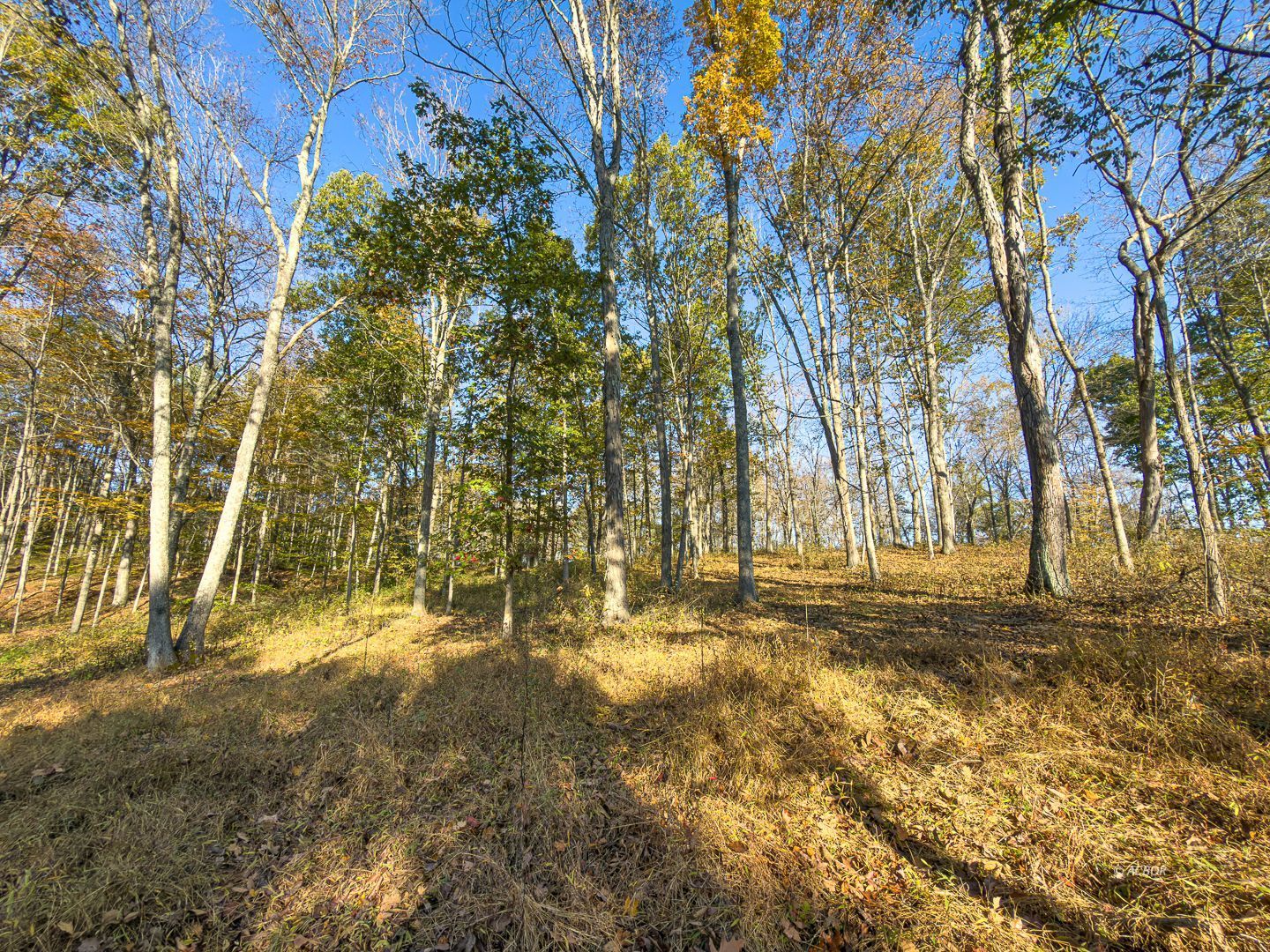 Chase Rd Property Photo 20