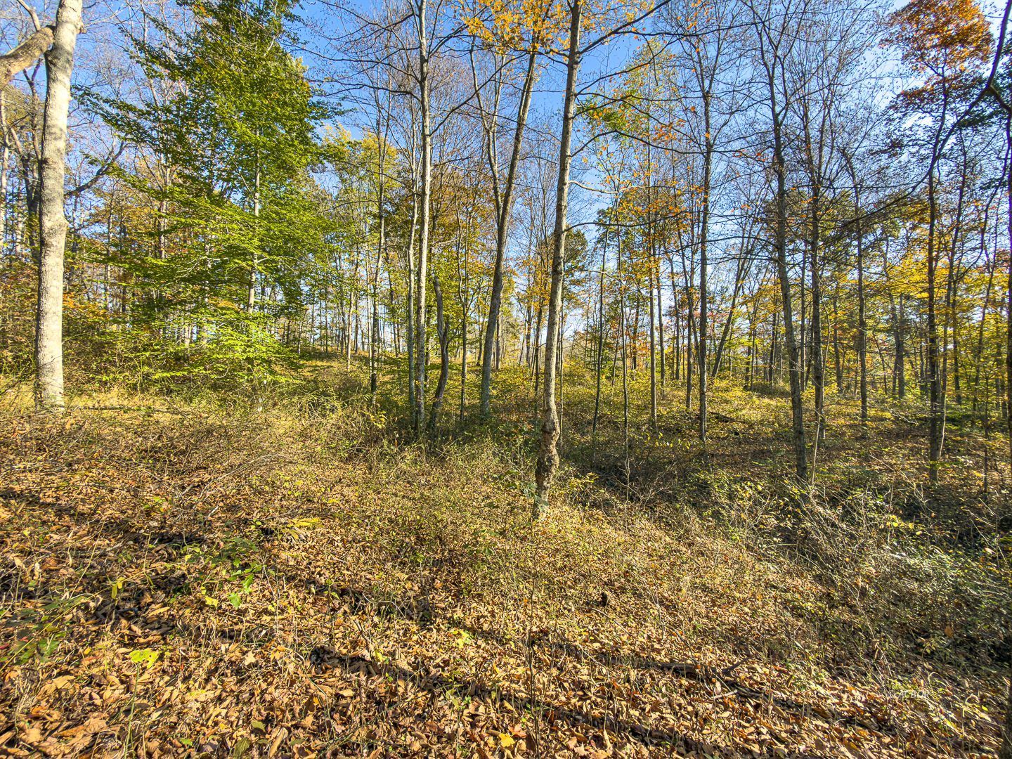 Chase Rd Property Photo 25