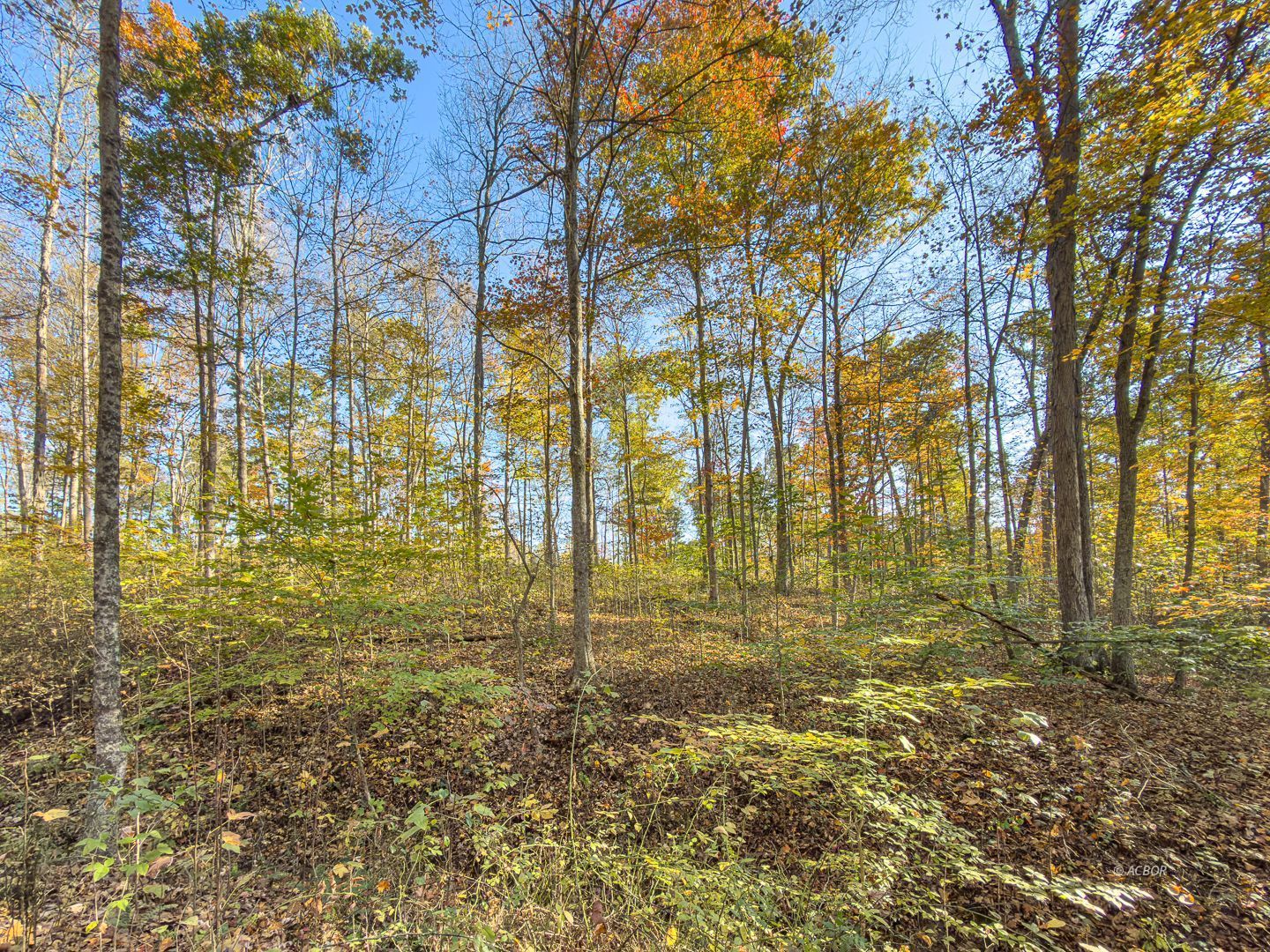 Chase Rd Property Photo 26