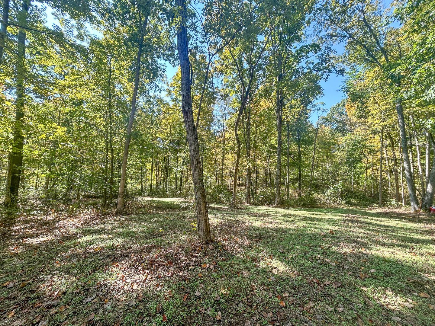 Chase Rd Property Photo 32