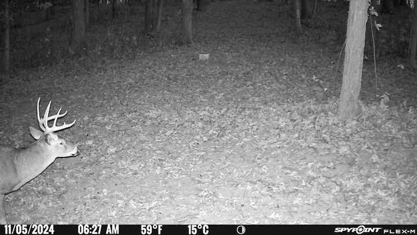 Chase Rd Property Photo 35