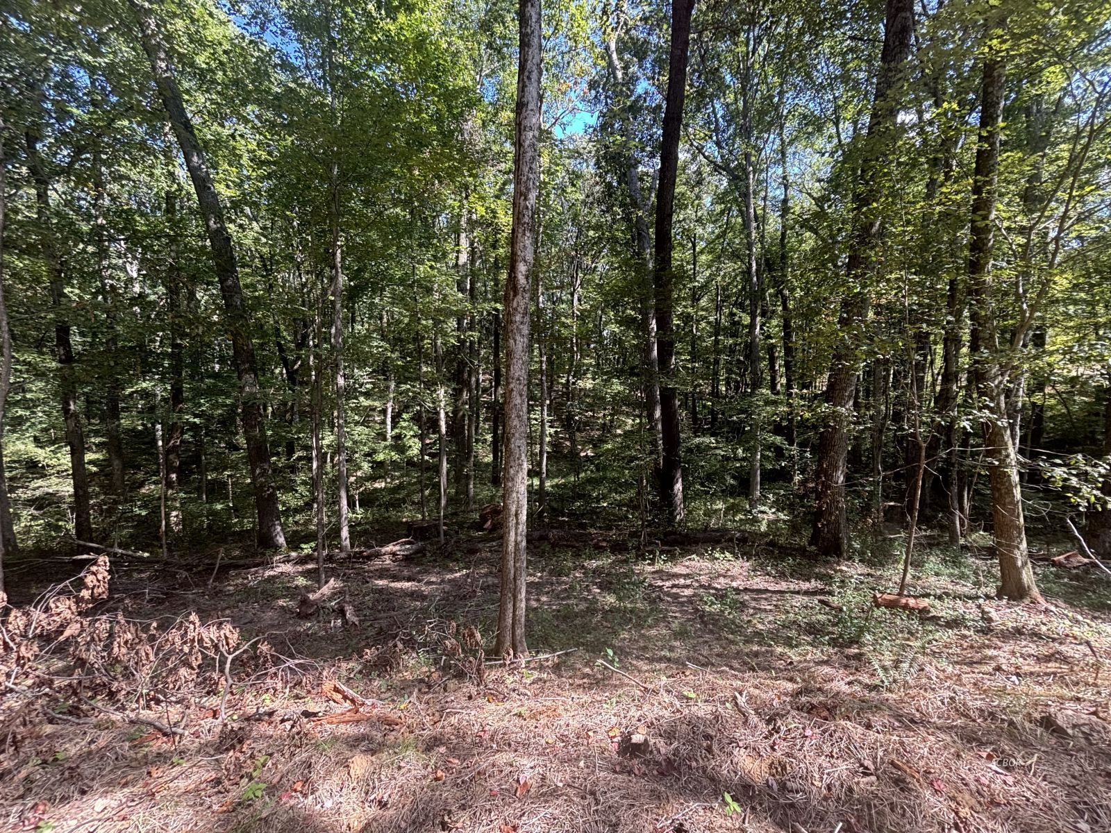 13356 State Route 374 Property Photo 13