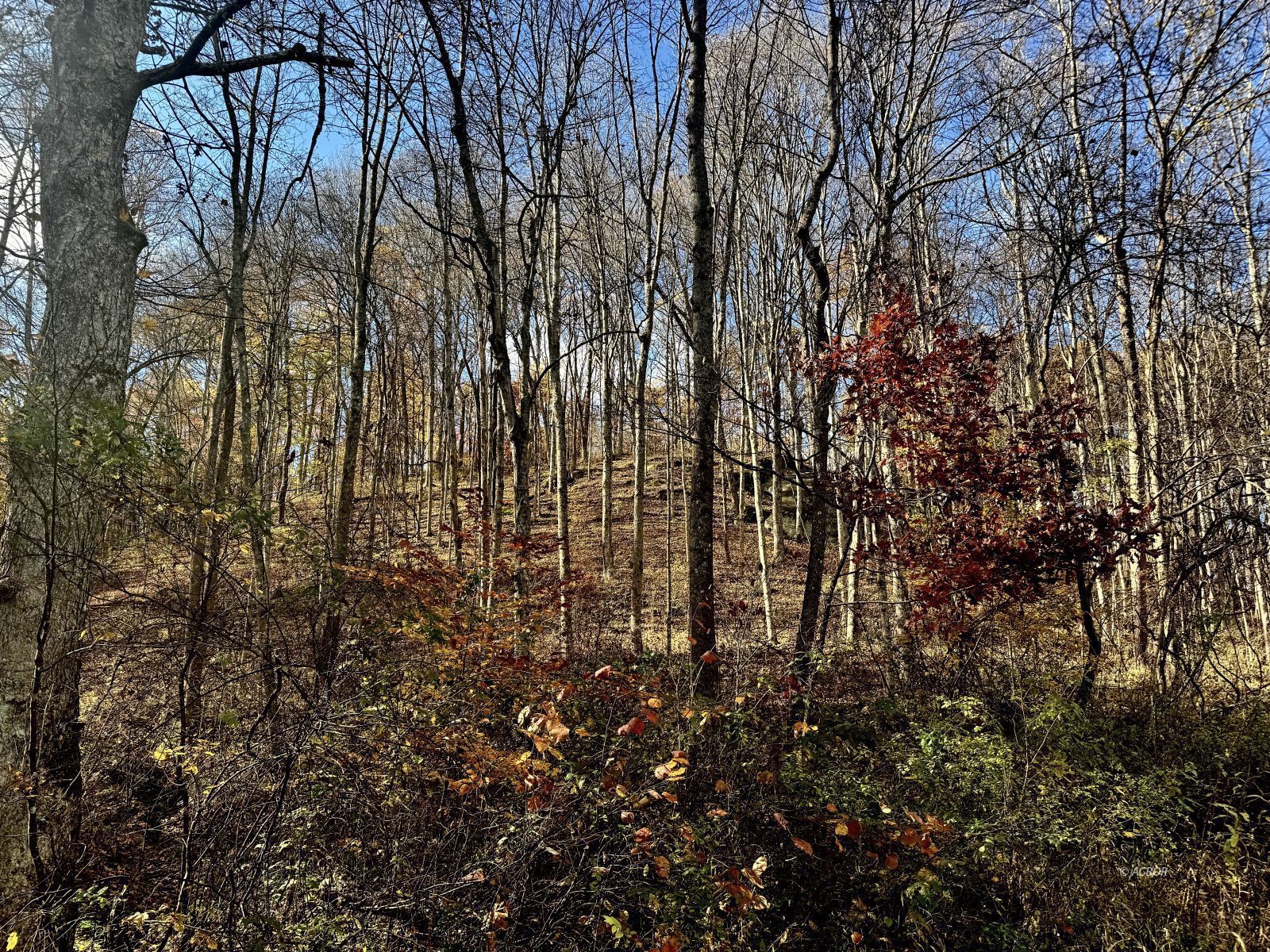 Horse Cave Rd Property Photo 1