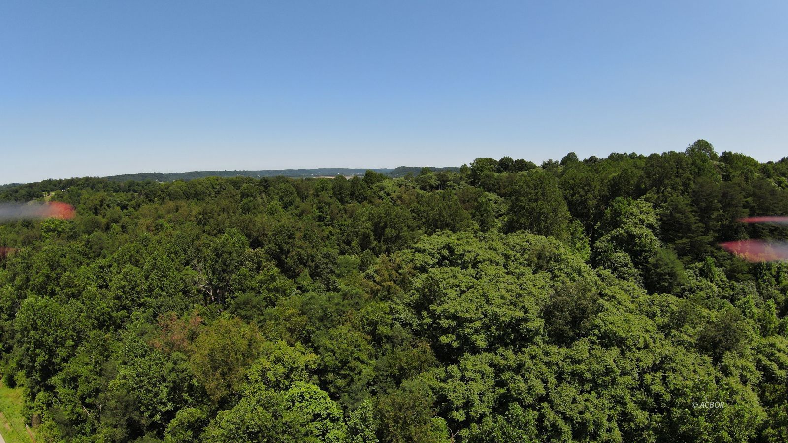 151 Shoe String Ridge Property Photo 4