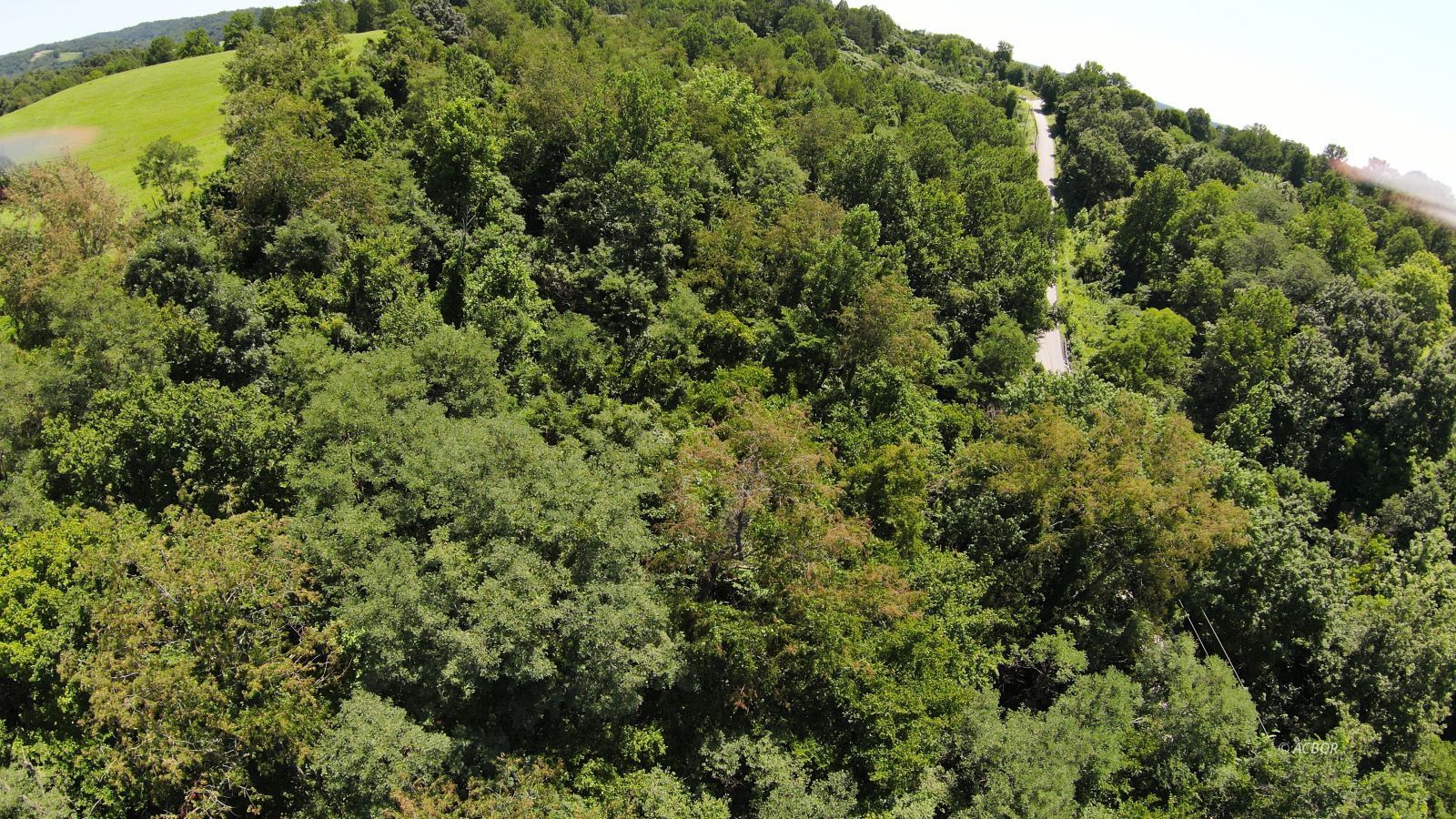 151 Shoe String Ridge Property Photo 7