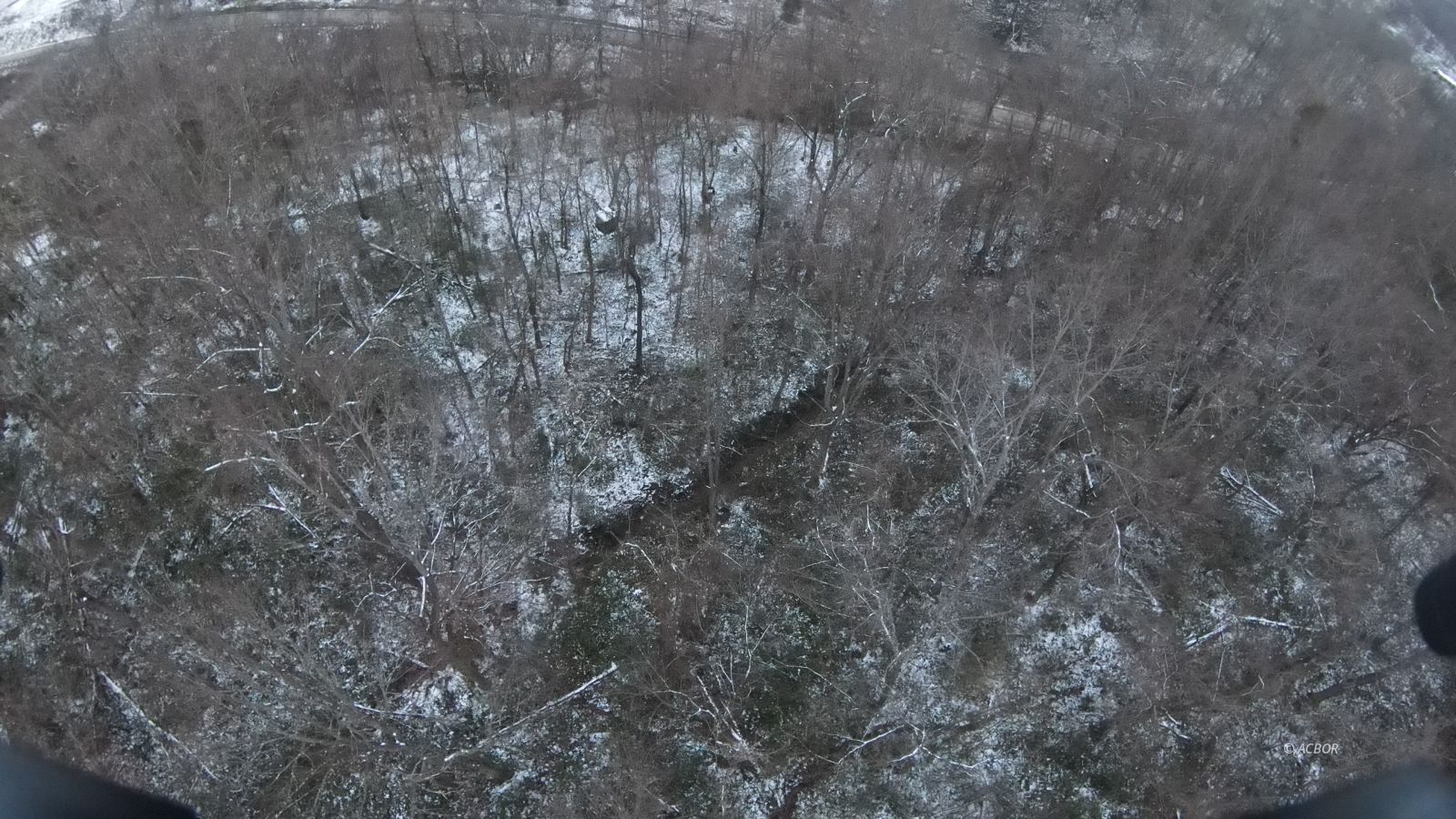 151 Shoe String Ridge Property Photo 10