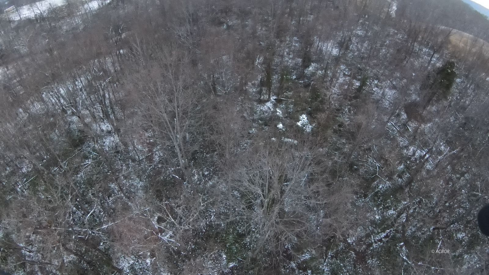151 Shoe String Ridge Property Photo 13