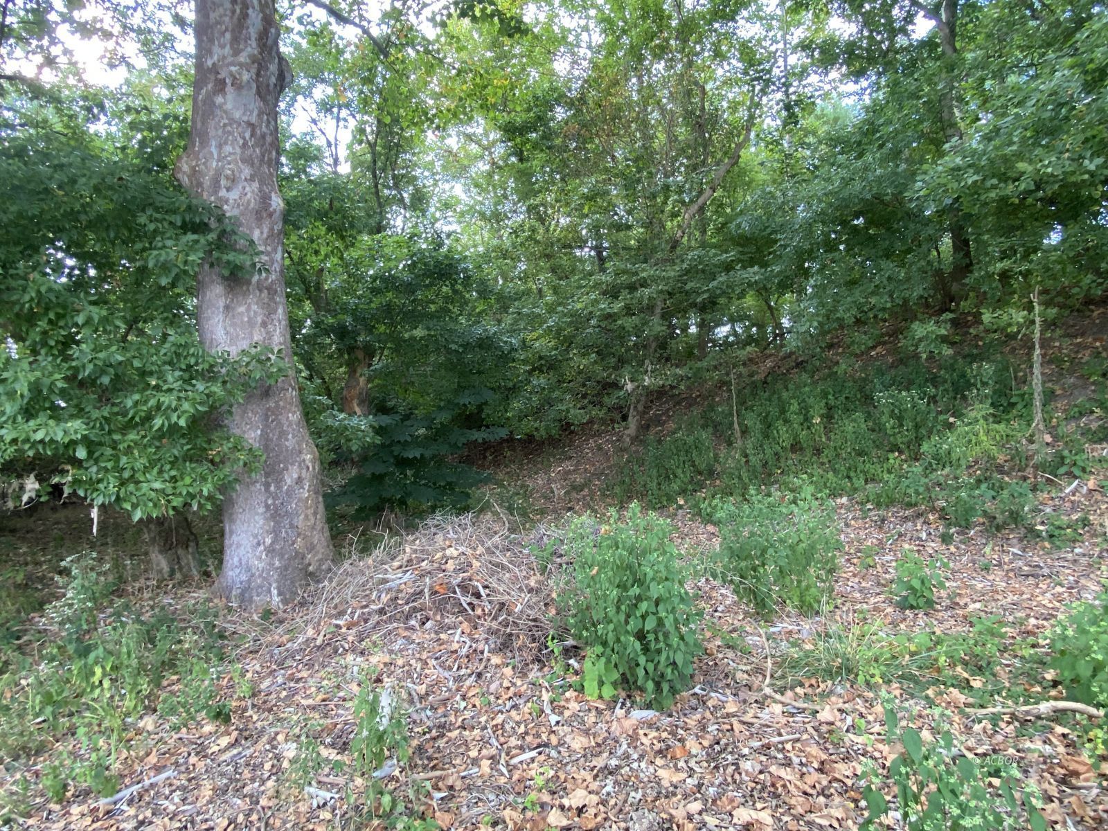 Blue Line Dr Property Photo 19
