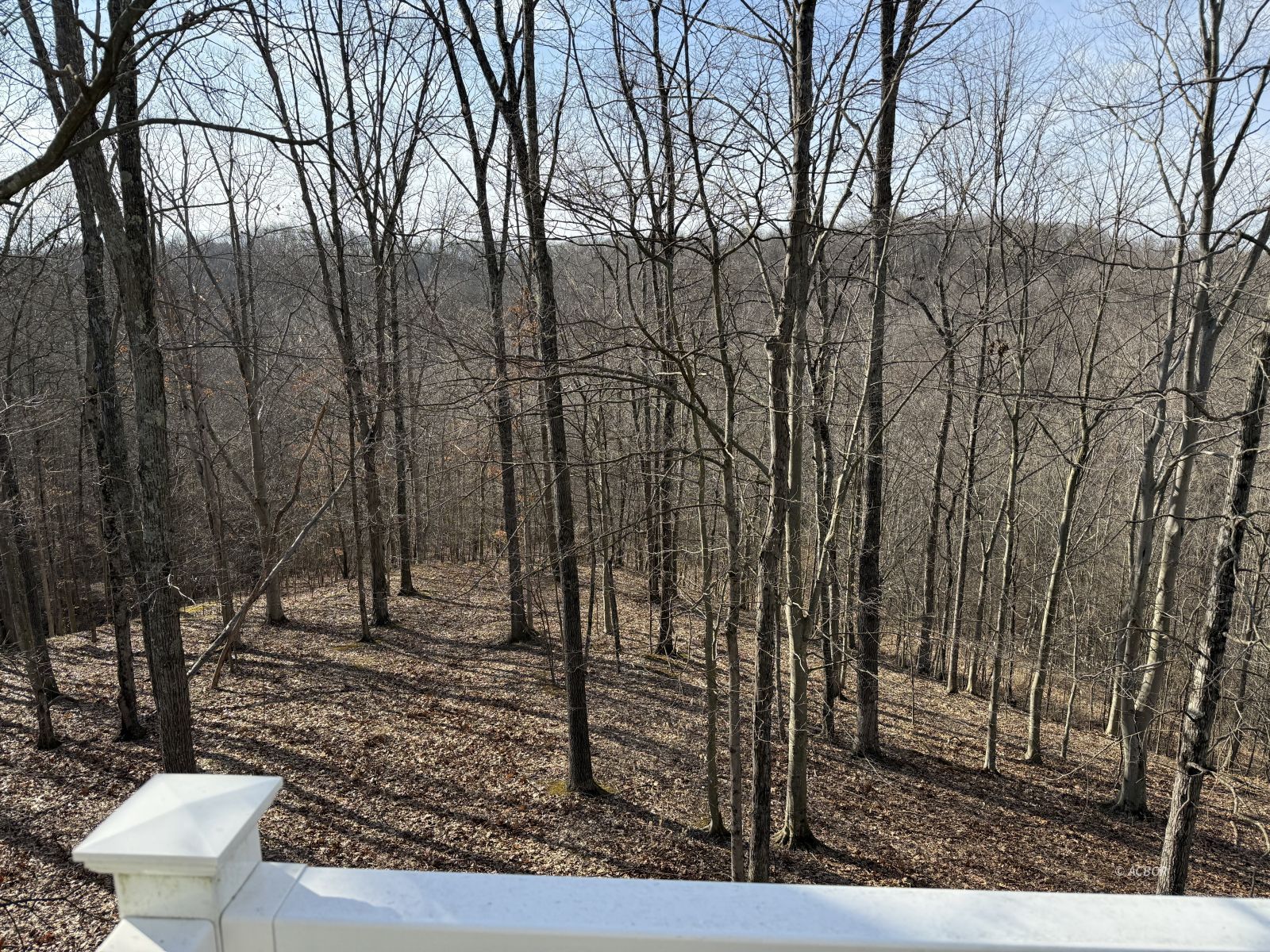 5 Maple Grove Way