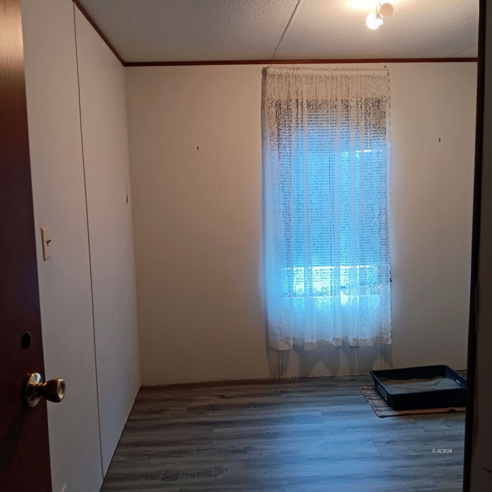 13 Dew St Property Photo 13